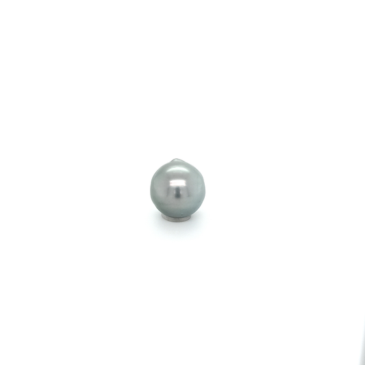 Tahitiperle CI PLA 13x12.3 mm