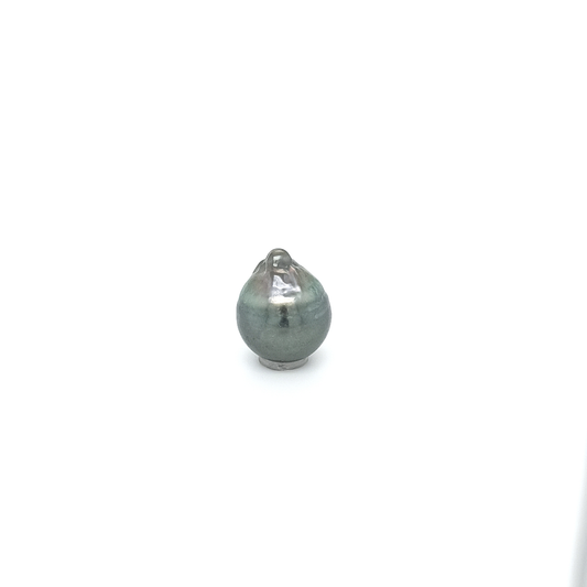 Tahitiperle CI PLA 15.7x12.8 mm