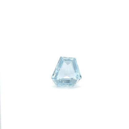 Aquamarin FAN FAC 14x14.5x6.2 mm 9.57 ct