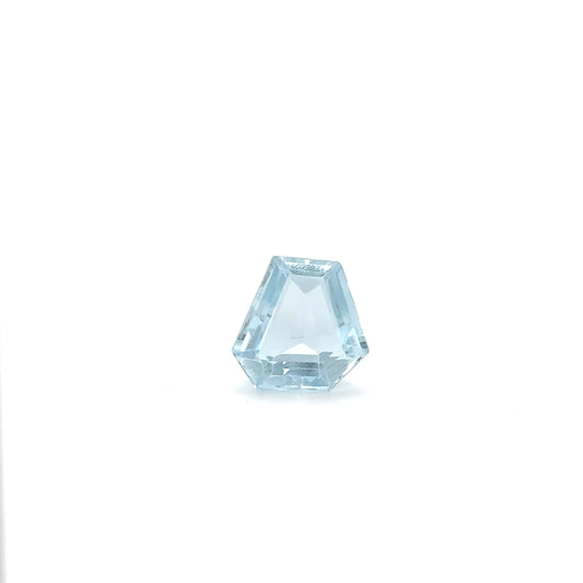Aquamarin FAN FAC 14x14.5x6.2 mm 9.57 ct