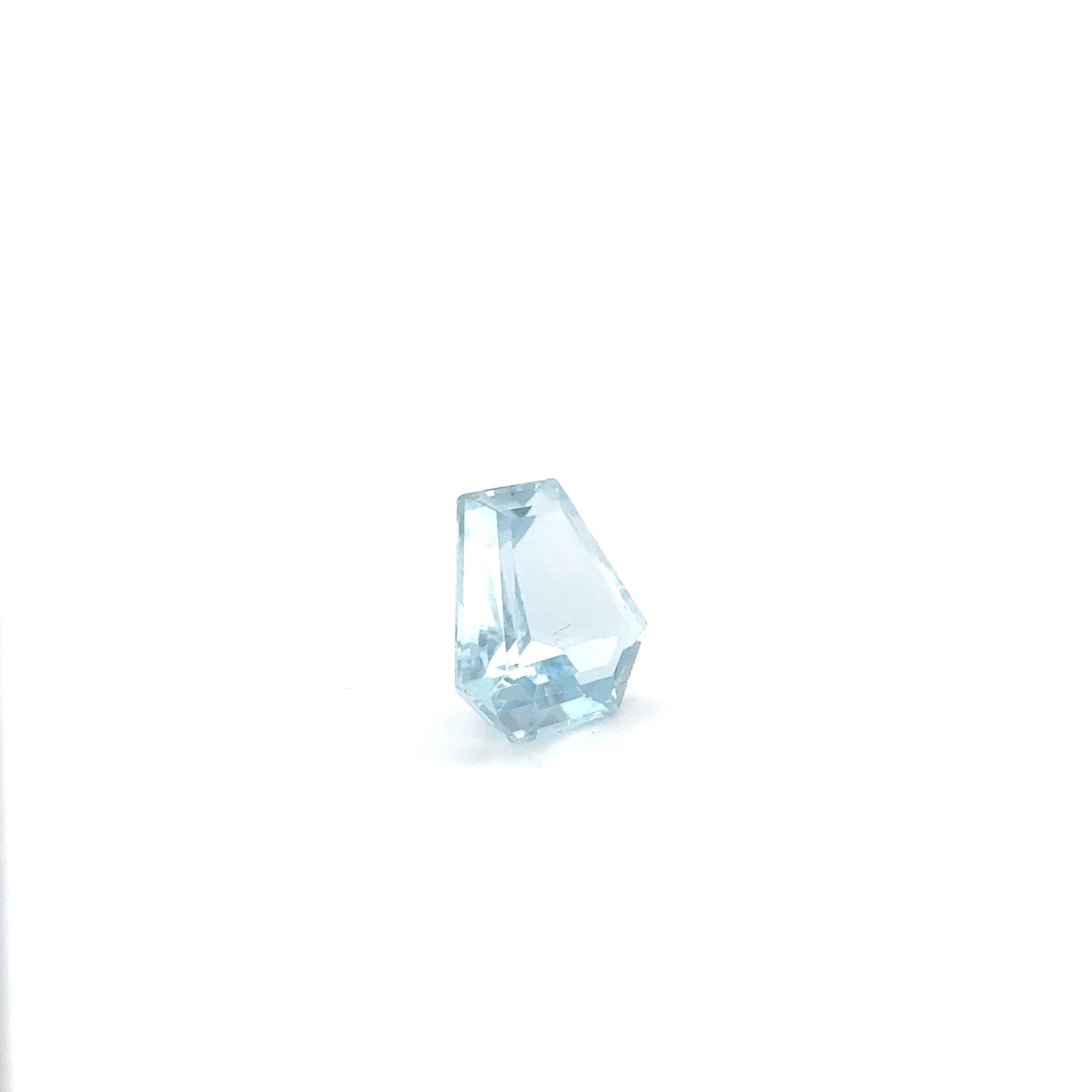 Aquamarin FAN FAC 14x14.5x6.2 mm 9.57 ct