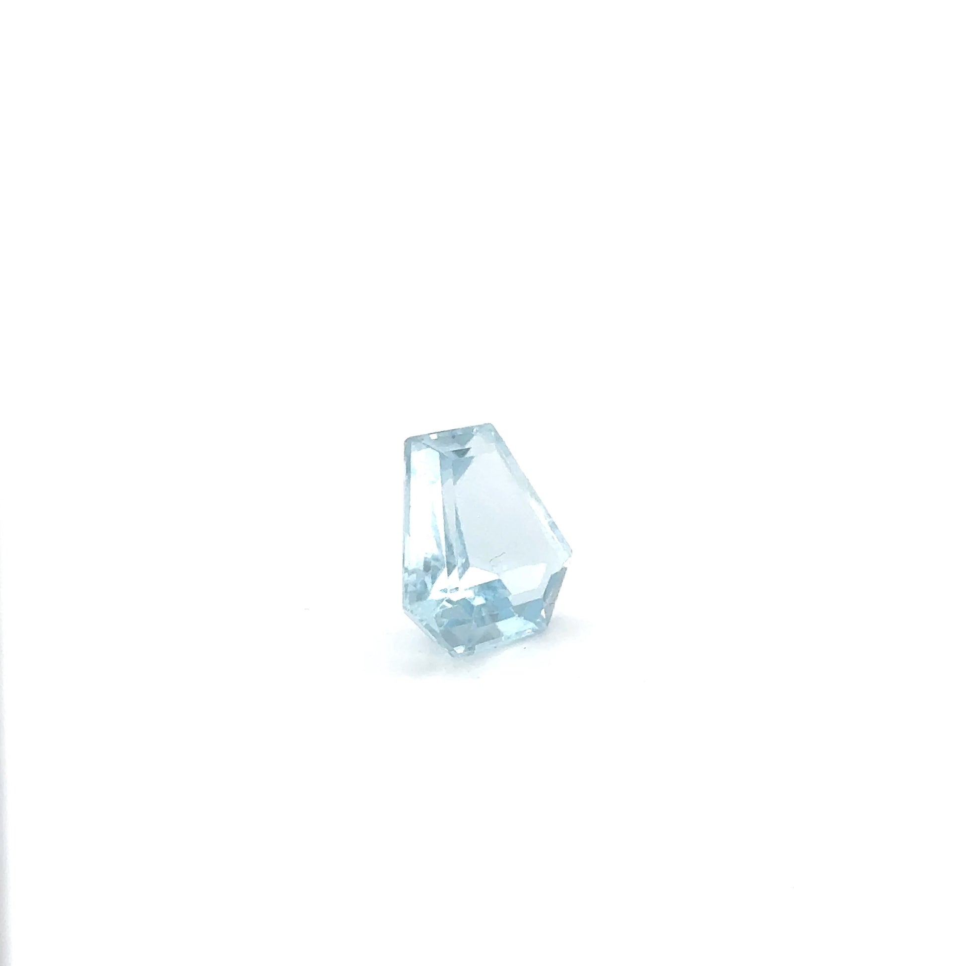 Aquamarin FAN FAC 14x14.5x6.2 mm 9.57 ct
