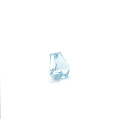 Aquamarin FAN FAC 14x14.5x6.2 mm 9.57 ct