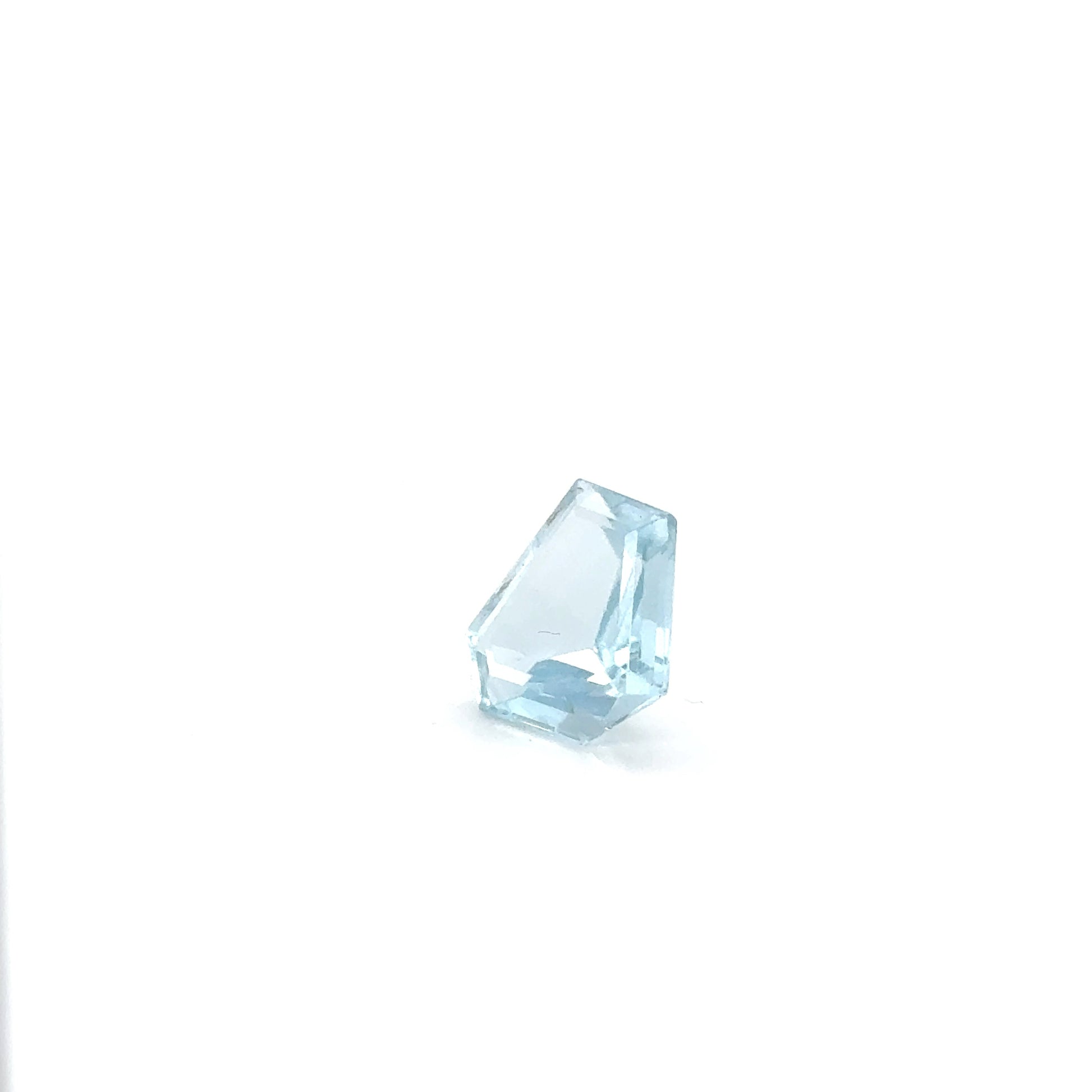 Aquamarin FAN FAC 14x14.5x6.2 mm 9.57 ct