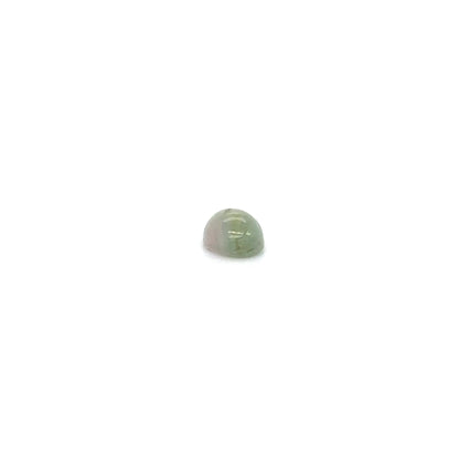Turmalin Bicolor 7.3x5.3x3.4 mm 1.2 ct