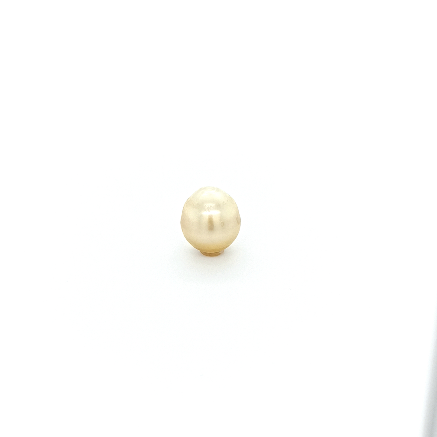 Tahitiperle SB PLA 12.9x11.1 mm