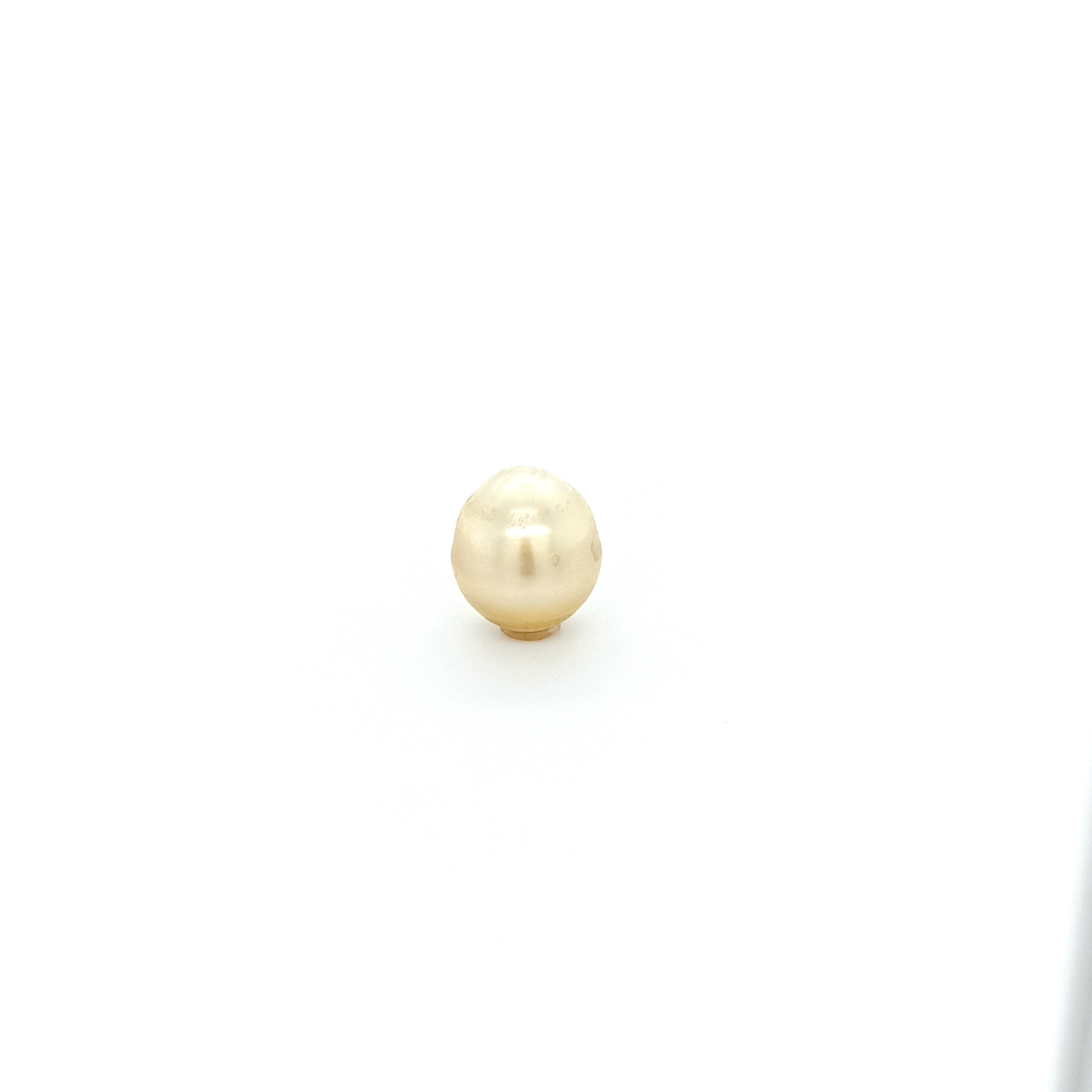 Tahitiperle SB PLA 12.9x11.1 mm