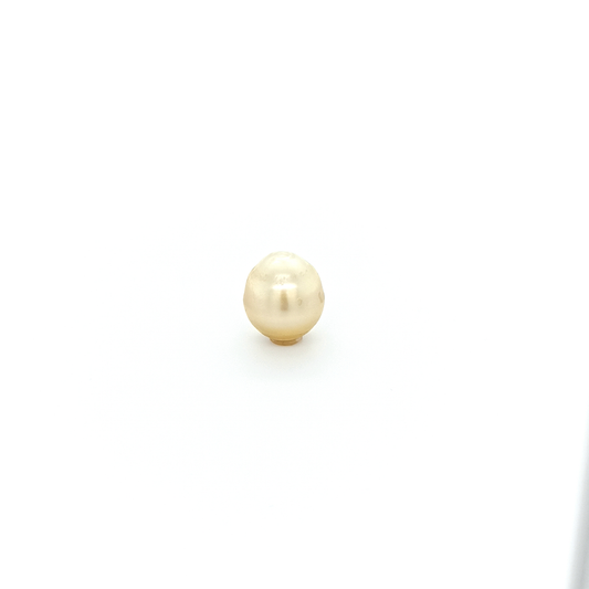 Tahitiperle SB PLA 12.9x11.1 mm