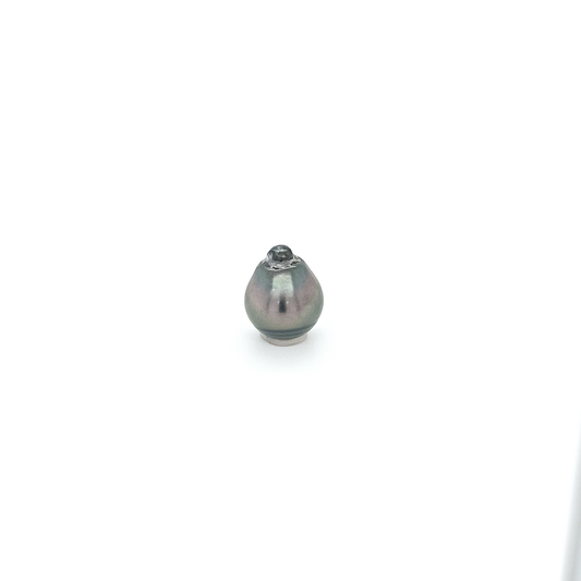 Tahitiperle CI PLA 13.3x10.9 mm