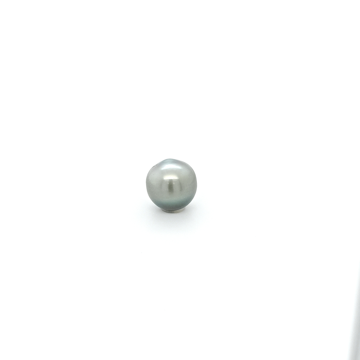 Tahitiperle SB PLA 11.5x11.5 mm