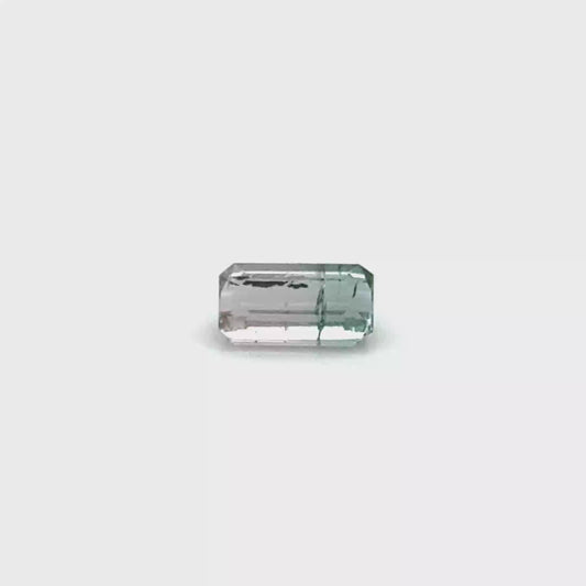 Turmalin Bicolor 7.6x4.4x3.25 mm 0.92 ct